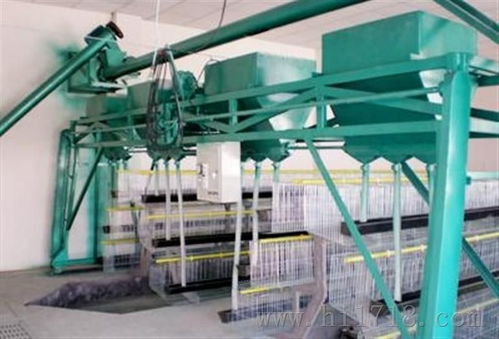 养殖自动清粪机图片 高清图 细节图 宁津时集辉腾温控设备制造厂